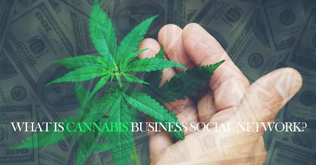 Cannabis business social network