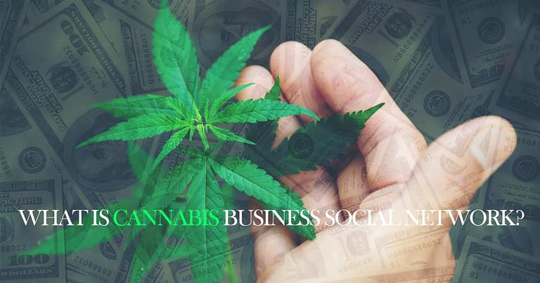 What is Cannabis business social network?